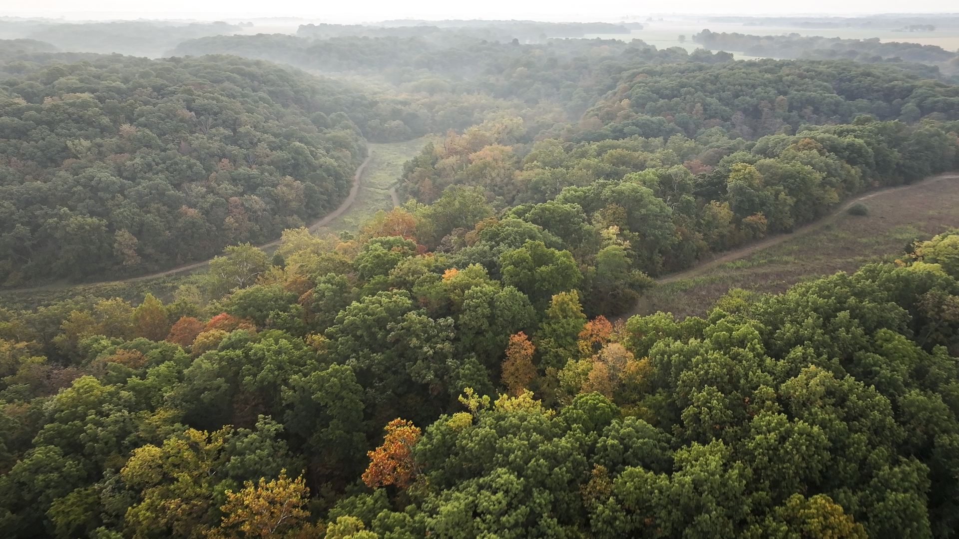 823 Columbia Road Washburn, IL 61570 - Photo 15 of 46 a view of a forest with a forest