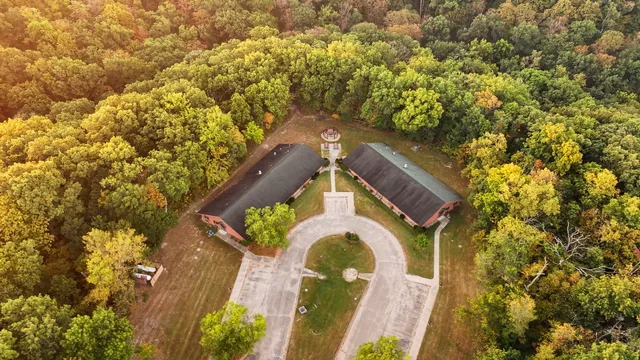 a yellow room with a tree