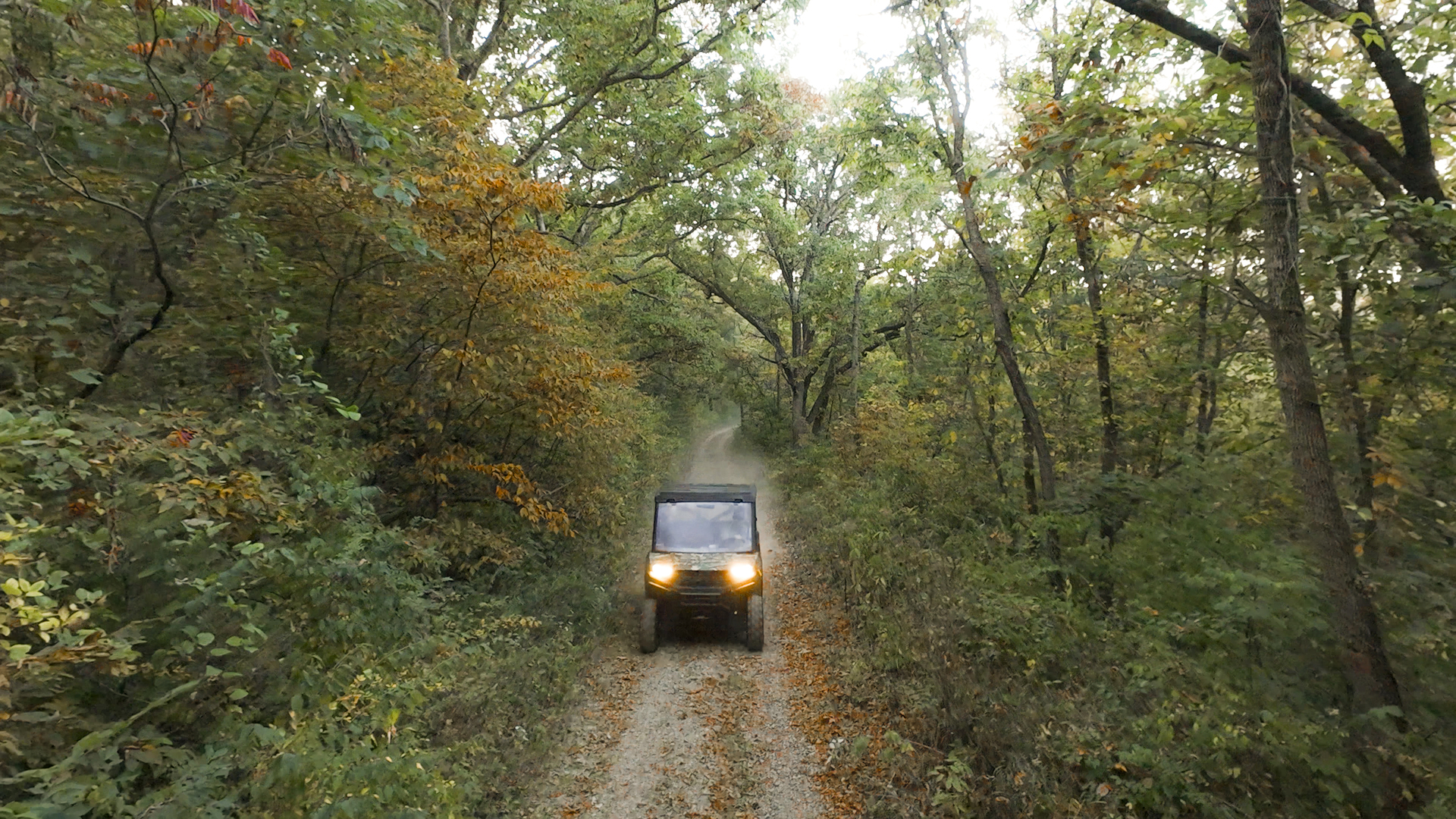 823 Columbia Road Washburn, IL 61570 - Photo 19 of 46 a yellow room with a tree