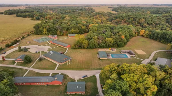a view of a yard with plants