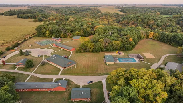 a view of a yard with plants