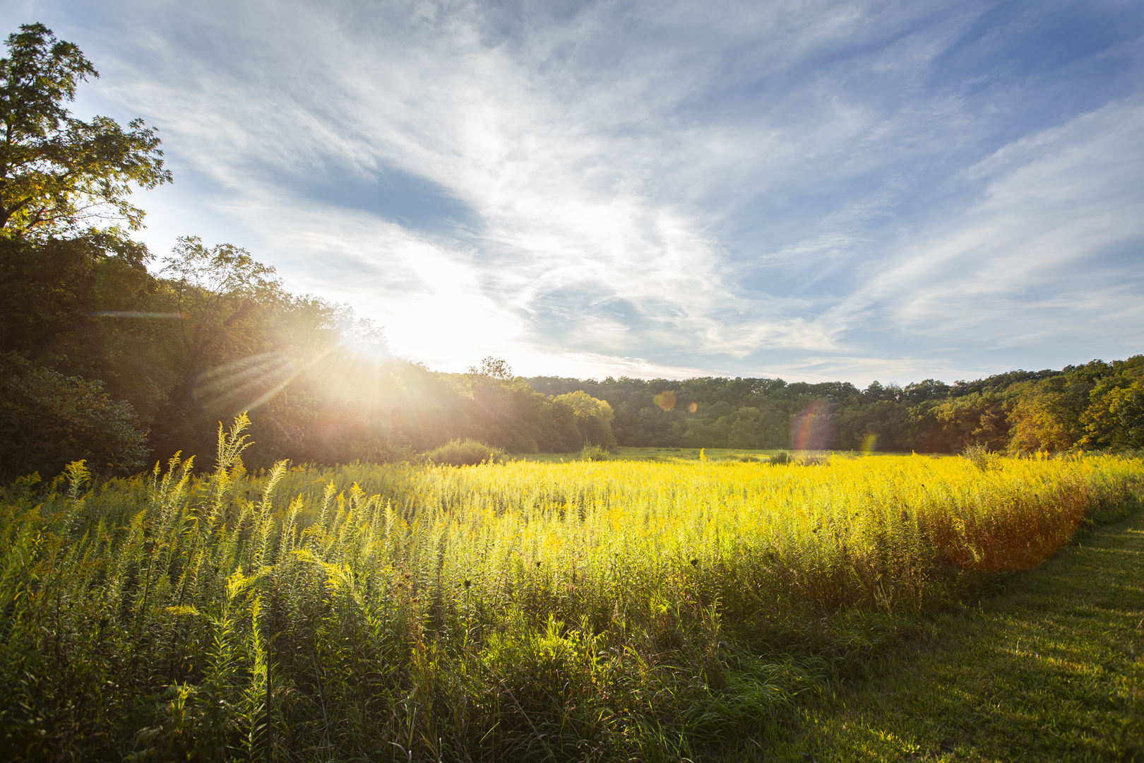 823 Columbia Road Washburn, IL 61570 - Photo 2 of 46 a view of an ocean from a beach