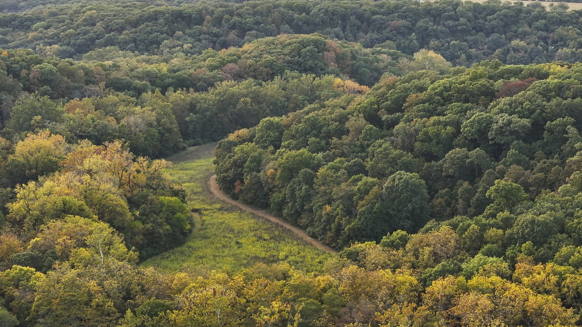 823 Columbia Road Washburn, IL 61570 - Photo 21 of 46 a view of a yard with plants
