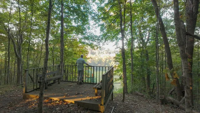 a view of a chair and fire pit in the middle of a yard