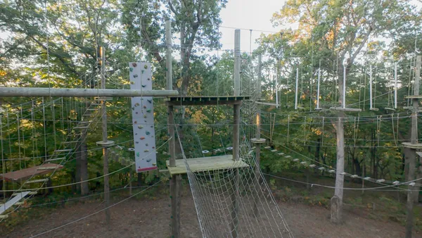 a view of a forest with mountains in the background