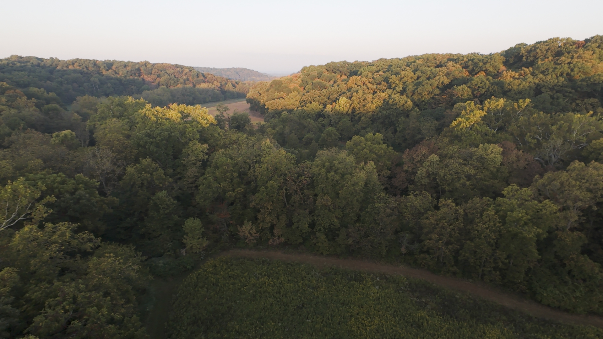 823 Columbia Road Washburn, IL 61570 - Photo 10 of 46 a view of a forest with mountains in the background