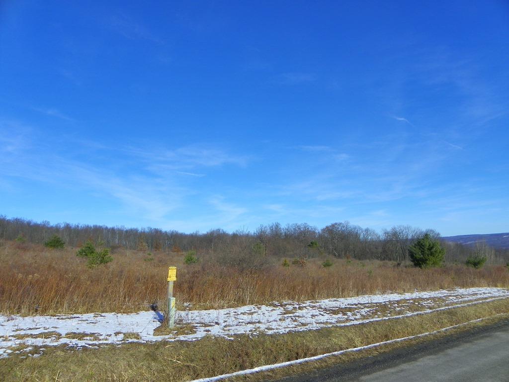 Lot #6 Wright Road Hammondsport, NY 14840 - Photo 1 of 7