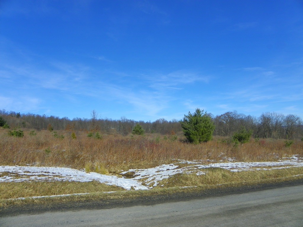 Lot #6 Wright Road Hammondsport, NY 14840 - Photo 2 of 7