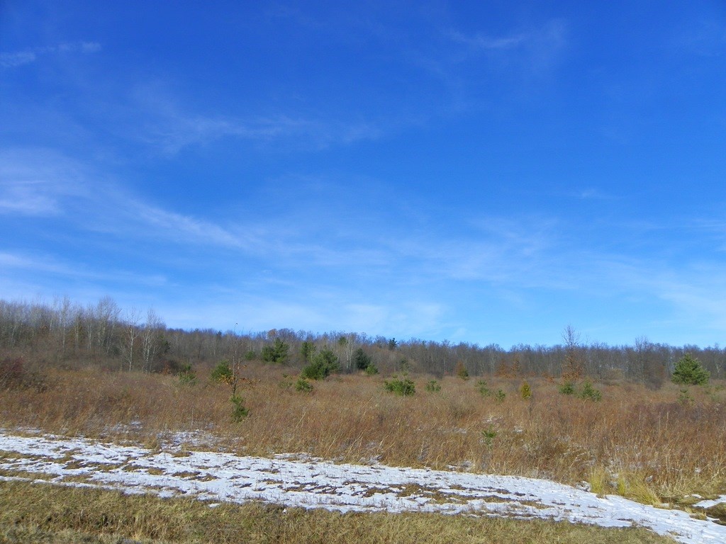 Lot #6 Wright Road Hammondsport, NY 14840 - Photo 3 of 7