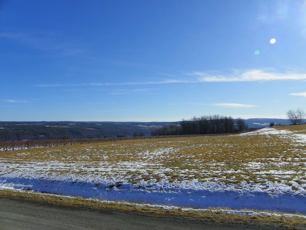 Lot #6 Wright Road Hammondsport, NY 14840 - Photo 4 of 7