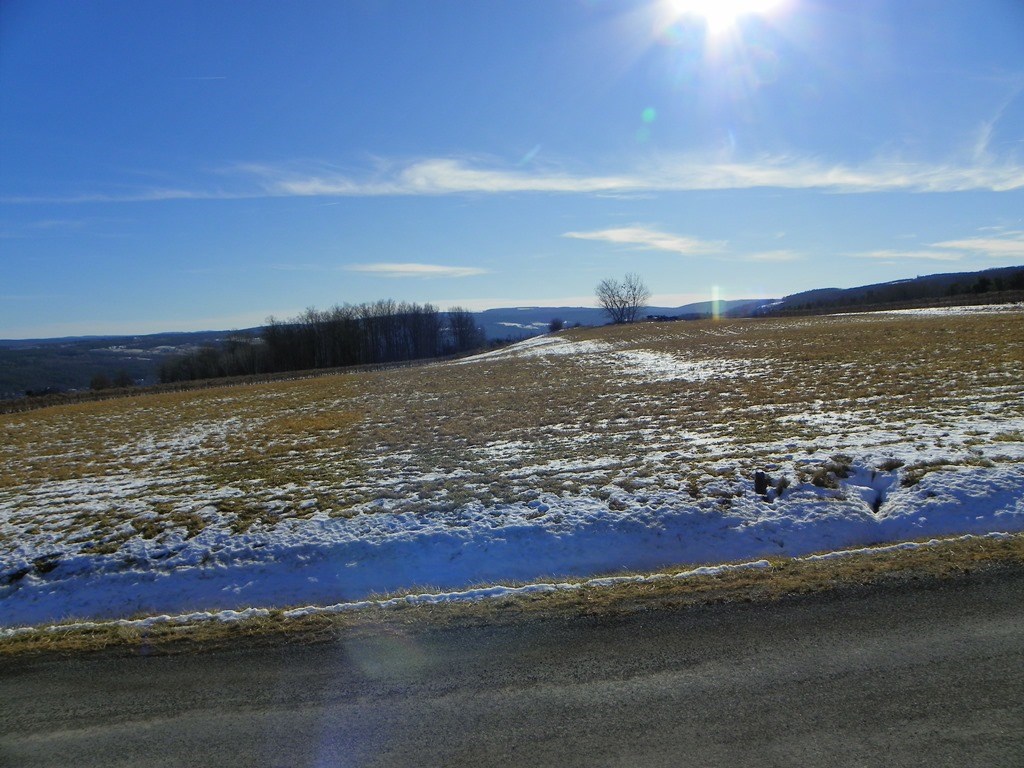 Lot #6 Wright Road Hammondsport, NY 14840 - Photo 6 of 7