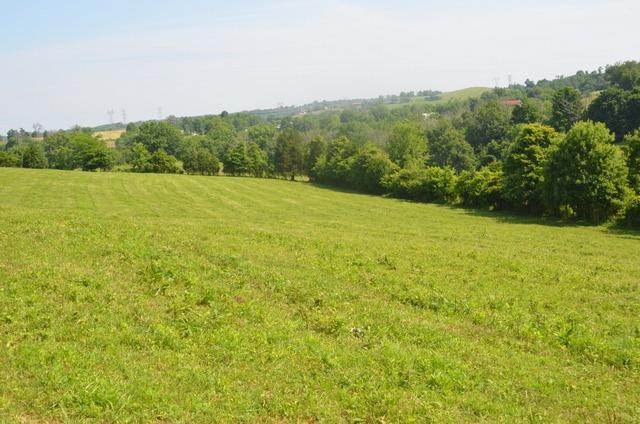 3887 High Bridge Road Lancaster, KY 40444 - Photo 92 of 97 Photo 92