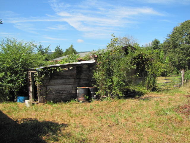 347 Roddy Road Spring City, TN 37381 - Photo 10 of 10 IMG_0023