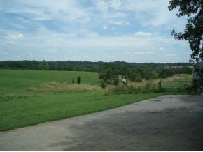 403 Mccreary Ridge Road Florence, IN 47020 - Photo 3 of 5