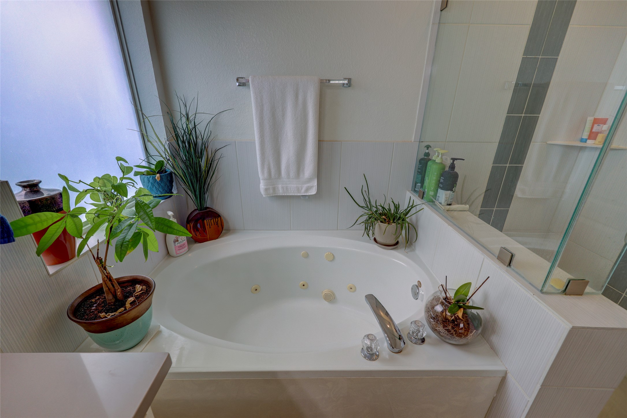 1819 Nelson Ranch Loop Cedar Park, TX 78613 - Photo 23 of 38 Garden tub to soak away the day