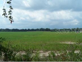 0 Southwest Sw Cr Bell, FL 32619 - Photo 1 of 1
