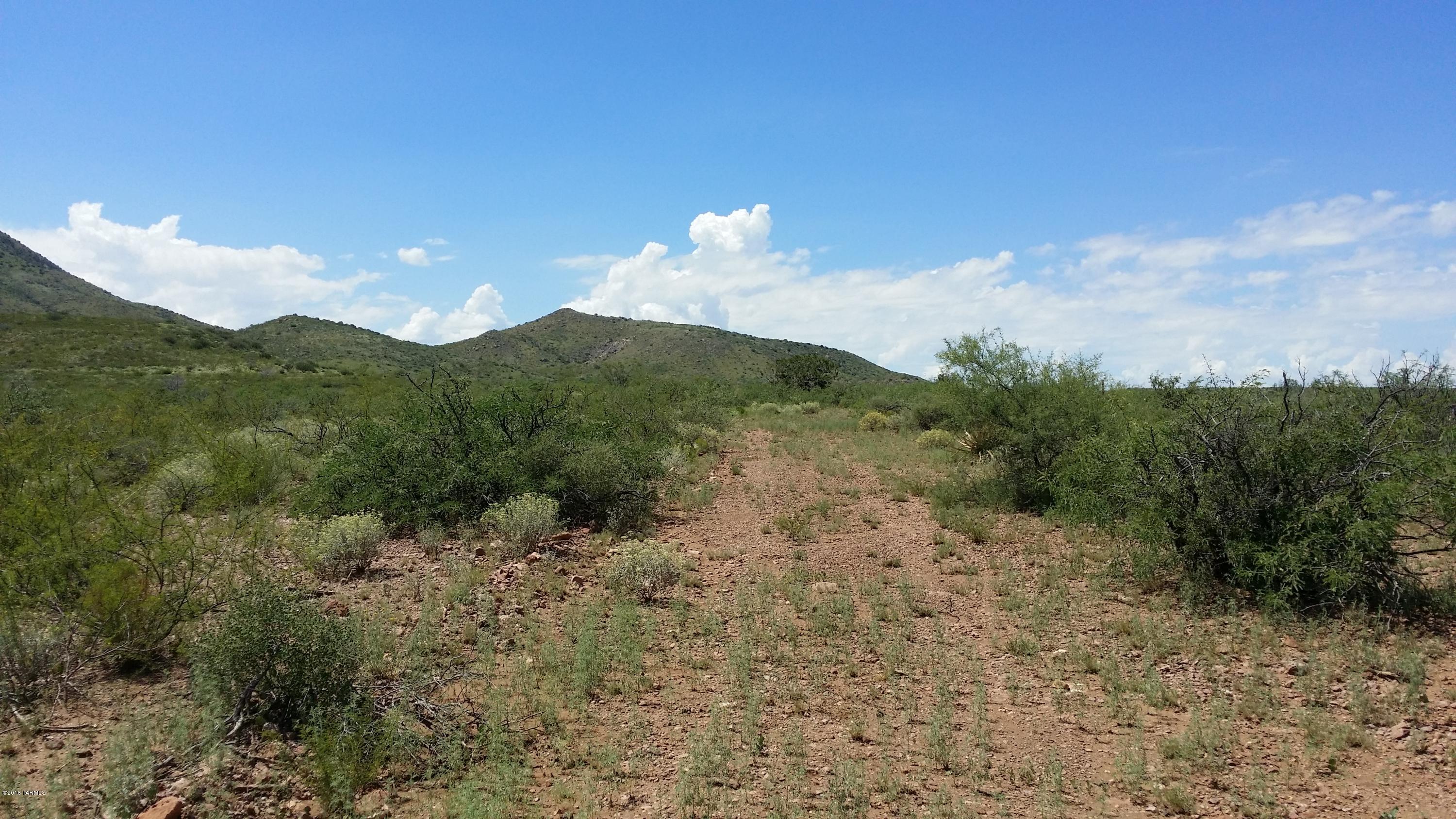 27.084-ac North Silver Creek Road Douglas, AZ 85607 - Photo 18 of 21