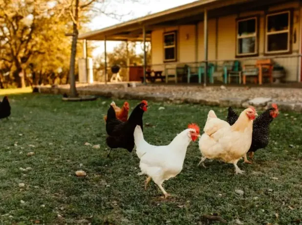 $3,000 | 6411 Junction Highway, Mountain Home, TX 78058