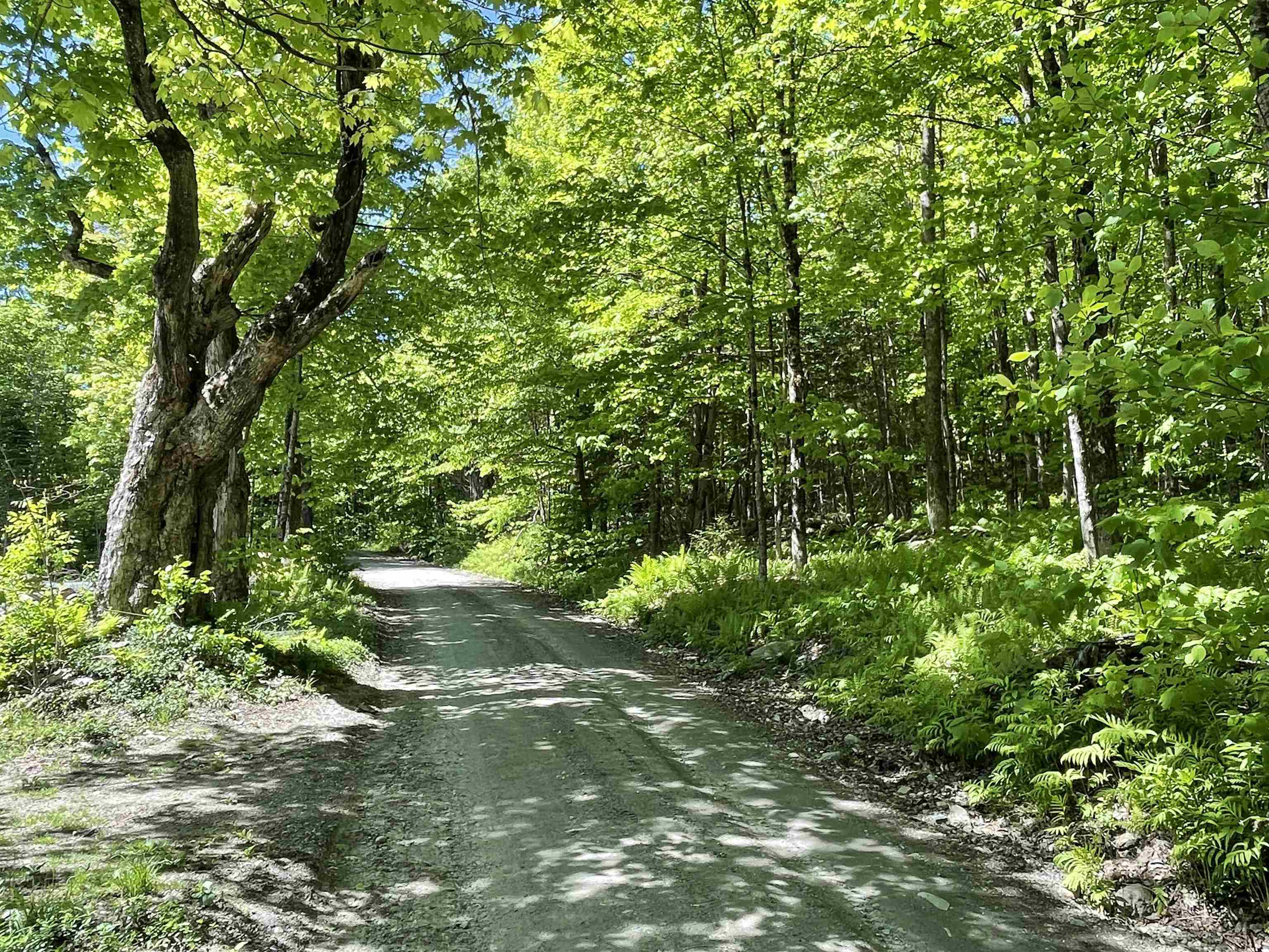 432 Shaw Road Roxbury, VT 05669 - Photo 12 of 19 Gallery Image 12