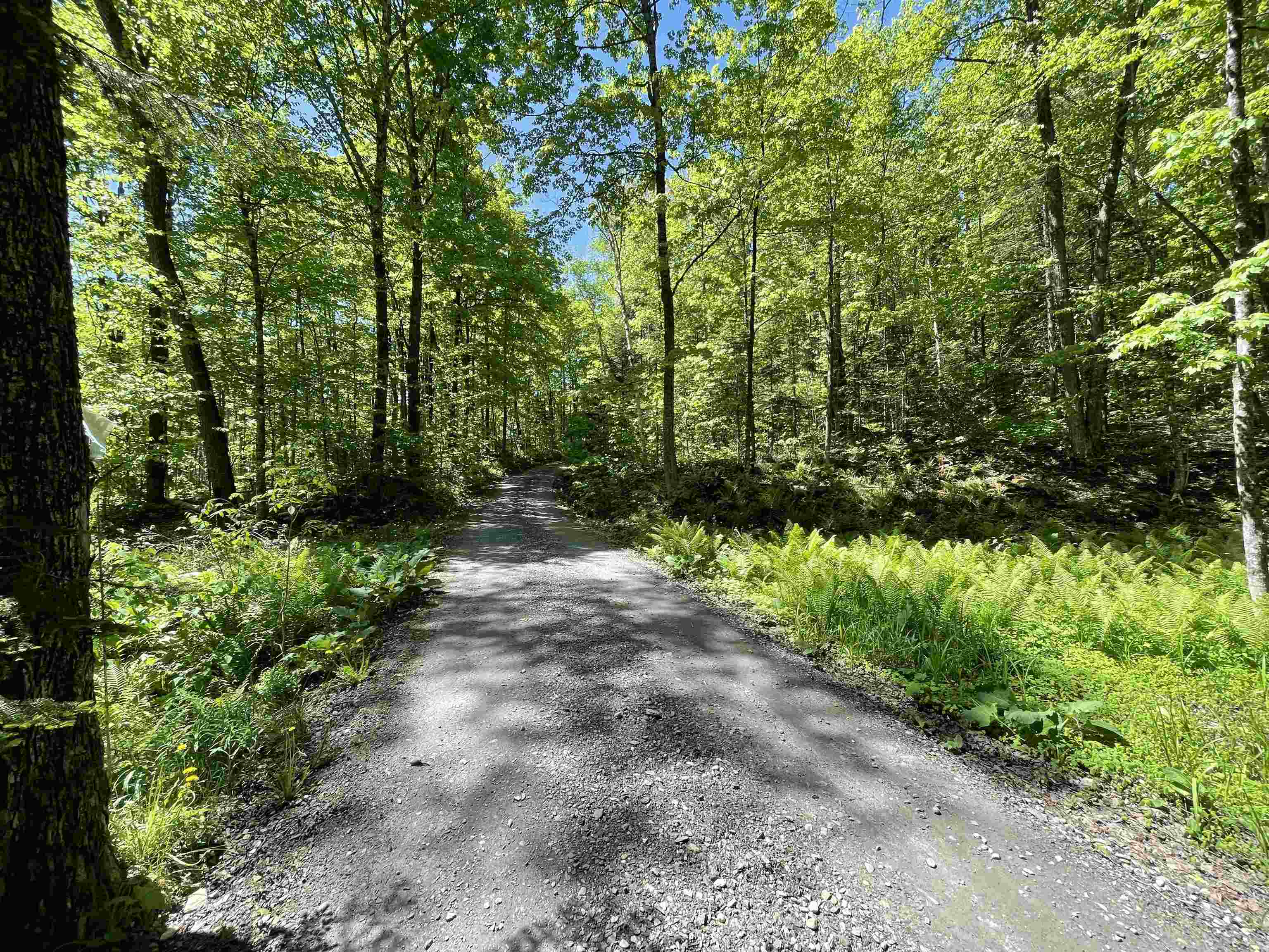 432 Shaw Road Roxbury, VT 05669 - Photo 13 of 19 Gallery Image 13