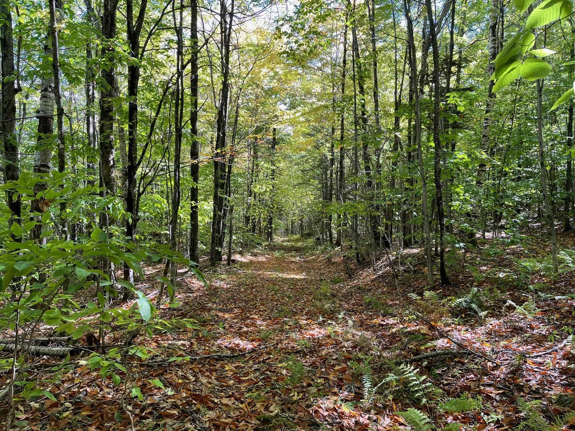 432 Shaw Road Roxbury, VT 05669 - Photo 8 of 19 Gallery Image 8