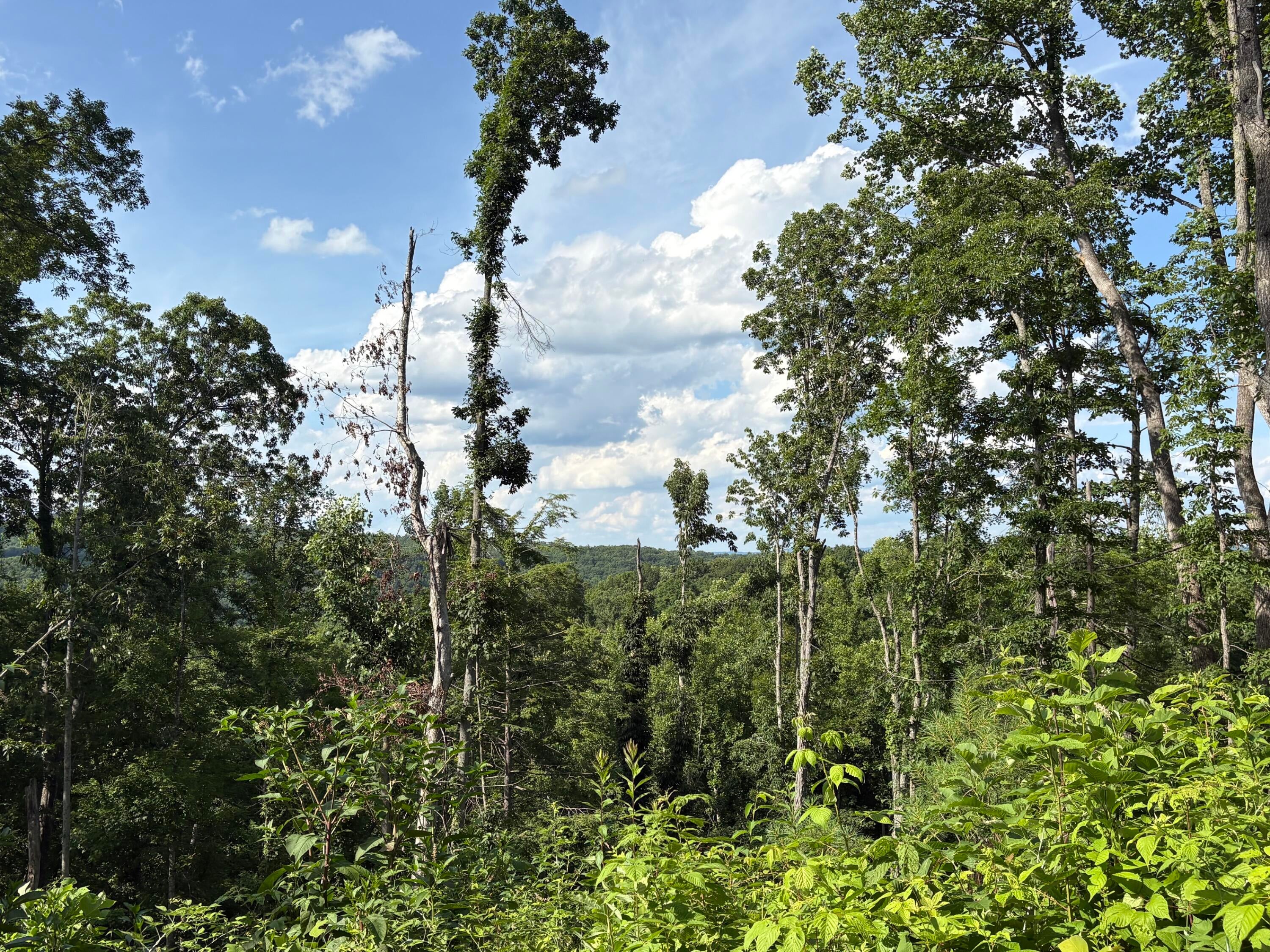 20 Gravely Point Road Pipestem, WV 25979 - Photo 11 of 21 Gallery Image 11