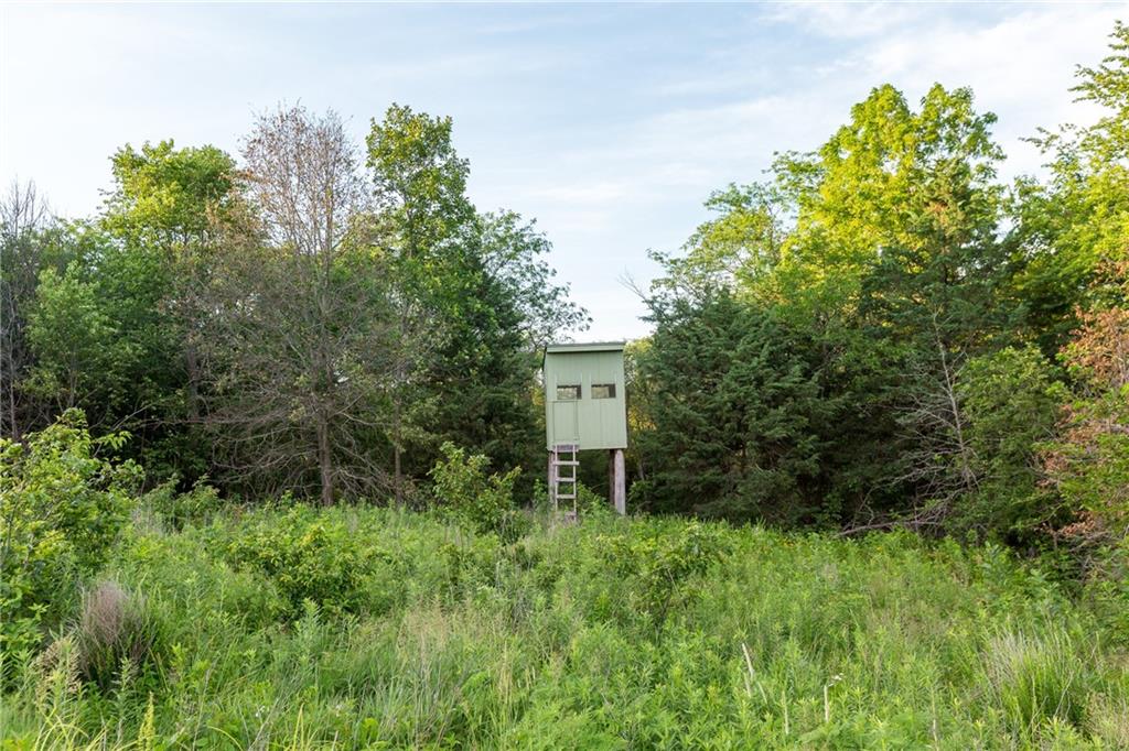 12307 Crescent Road Gilman City, MO 64642 - Photo 24 of 63