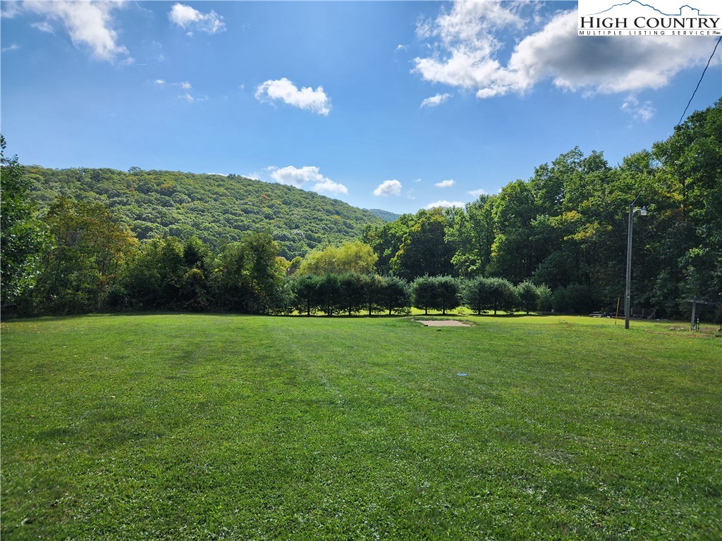369 Ransey Woodring Road Todd, NC 28684 - Photo 2 of 6 a view of a big yard with a large tree