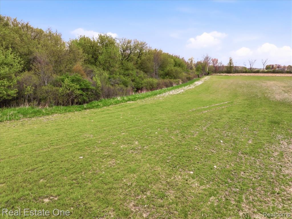 2320 Braidwood Road Memphis, MI 48041 - Photo 8 of 20