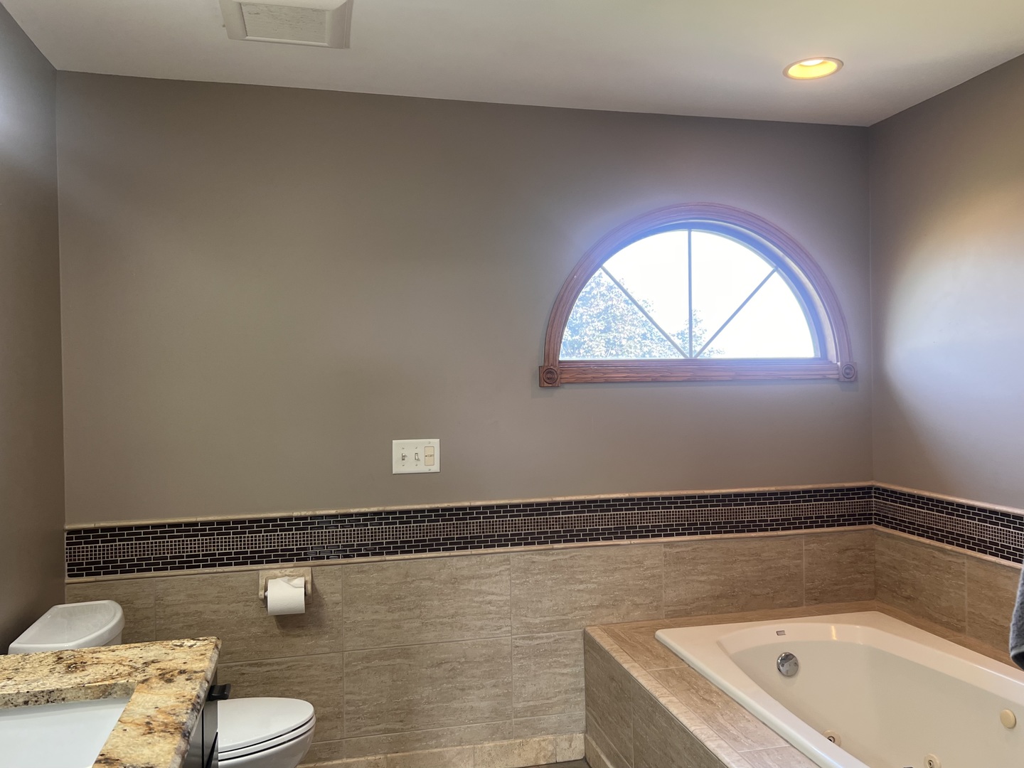21367 Brittany Drive Frankfort, IL 60423 - Photo 22 of 58