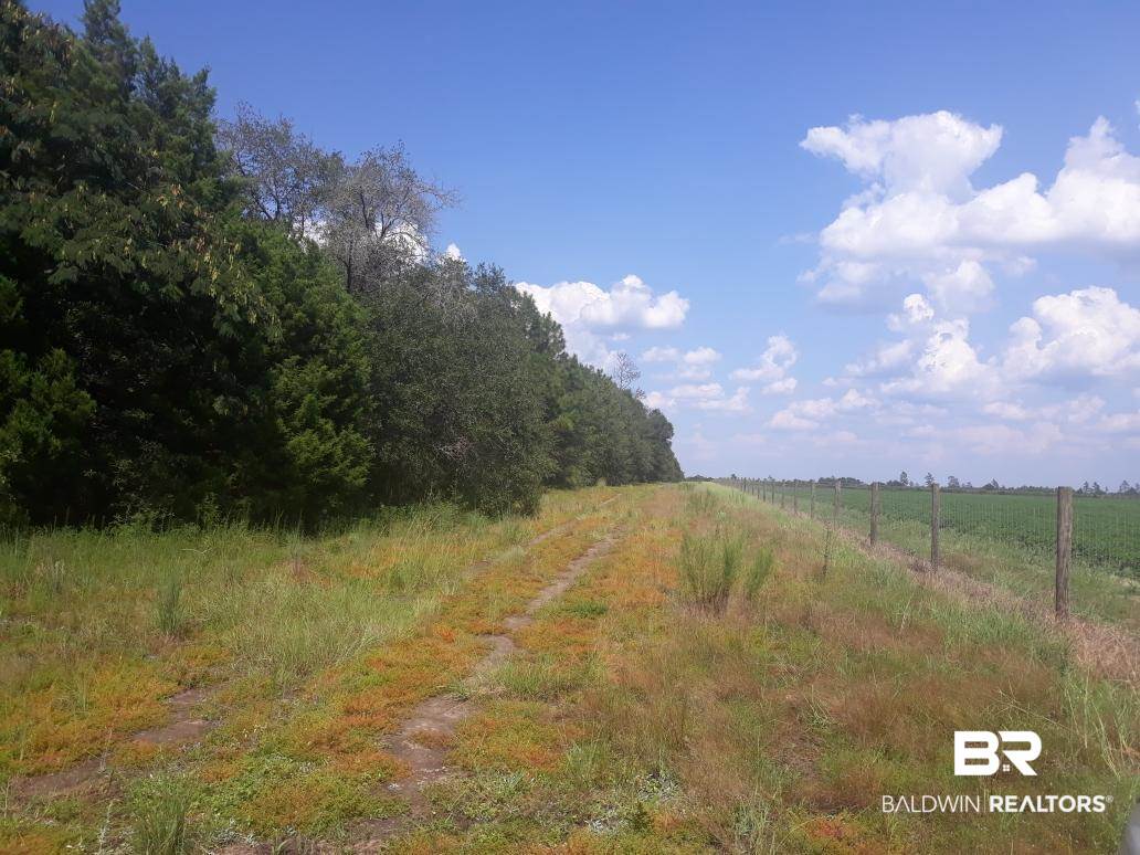 B B Penton Road Milton, FL 32570 - Photo 4 of 6