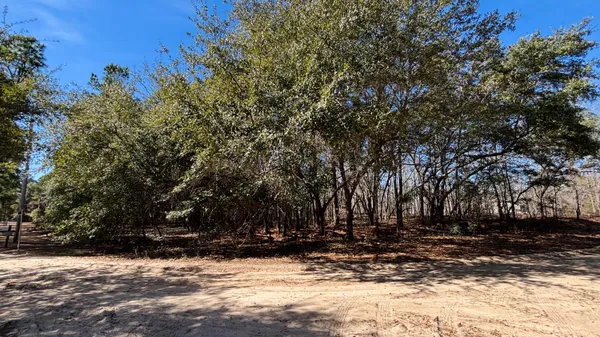 $24,000 | 0 Ripley Court, Elloree, SC 29047