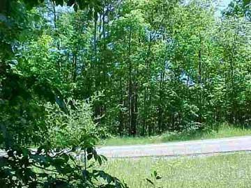 8291 West Royal Road Harrison, MI 48625 - Photo 3 of 4 Additional Photo