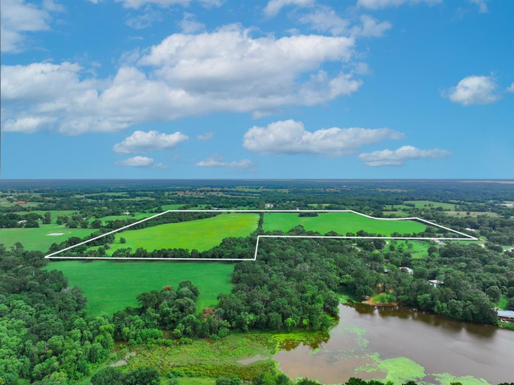 1 County Road 1726 Yantis, TX 75497 - Photo 7 of 11 a view of a garden with a swimming pool