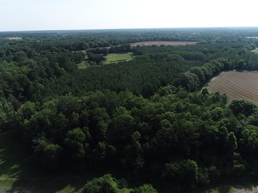 3876 D D Hodge Road Cottonwood, AL 36320 - Photo 41 of 48