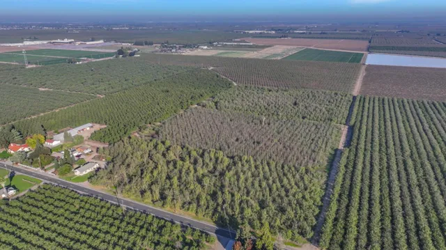 a view of a dry yard with wooden fence