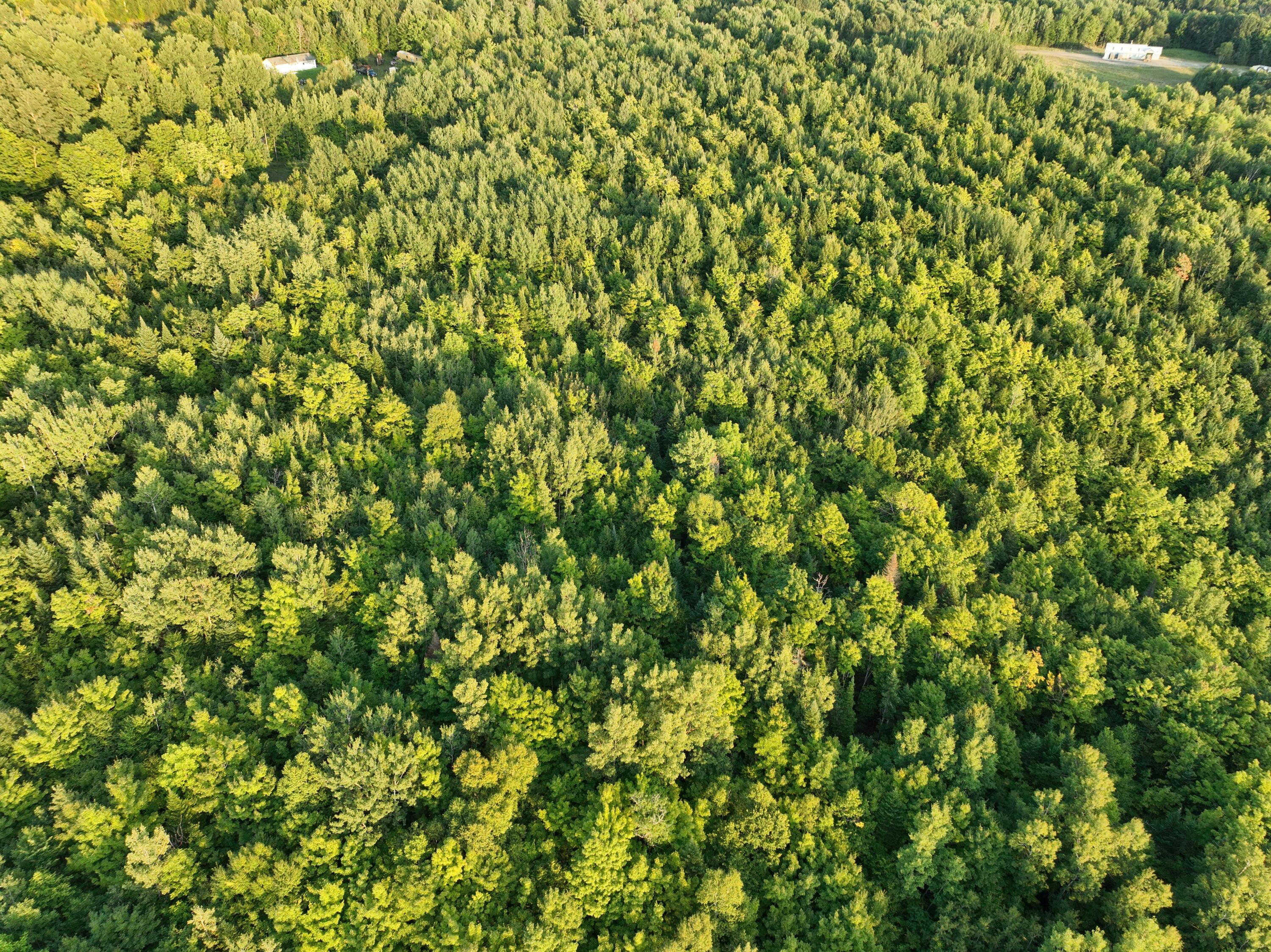 0 Thompson Settlement Road Oakfield, ME 04763 - Photo 28 of 33 DJI_0062