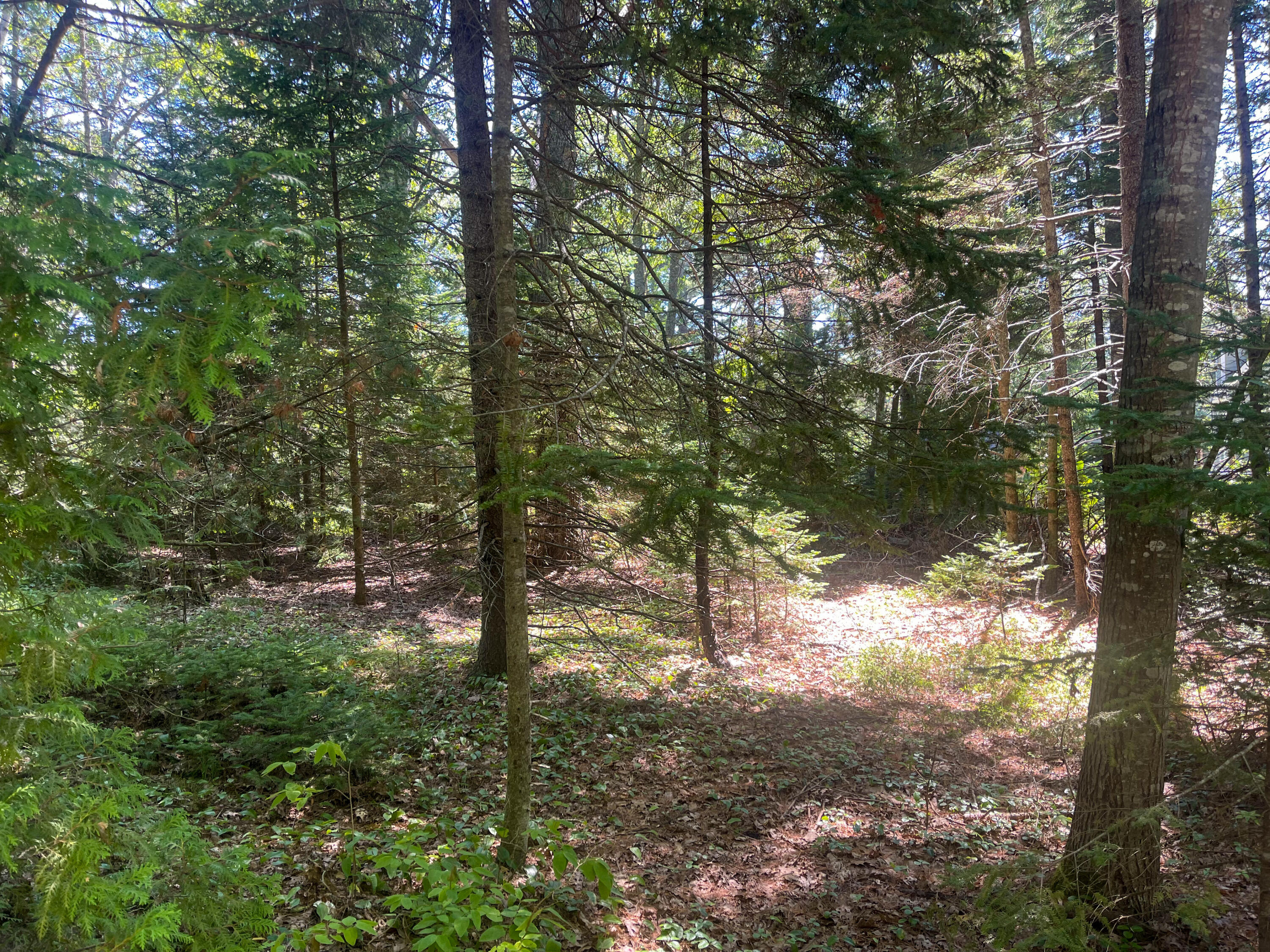 0 Upper Rich Cove Road Harpswell, ME 04079 - Photo 8 of 11 IMG-1654