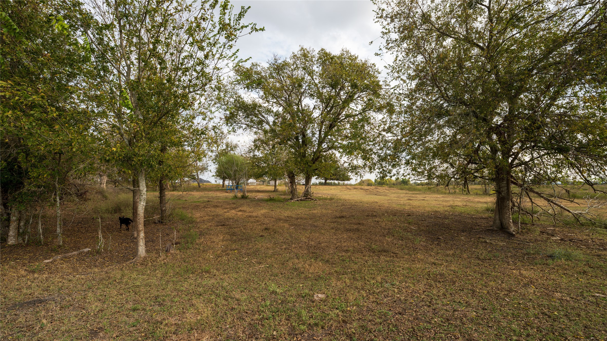 4646 FM 2679 Road Burton, TX 77835 - Photo 14 of 34 a view of outdoor space with trees