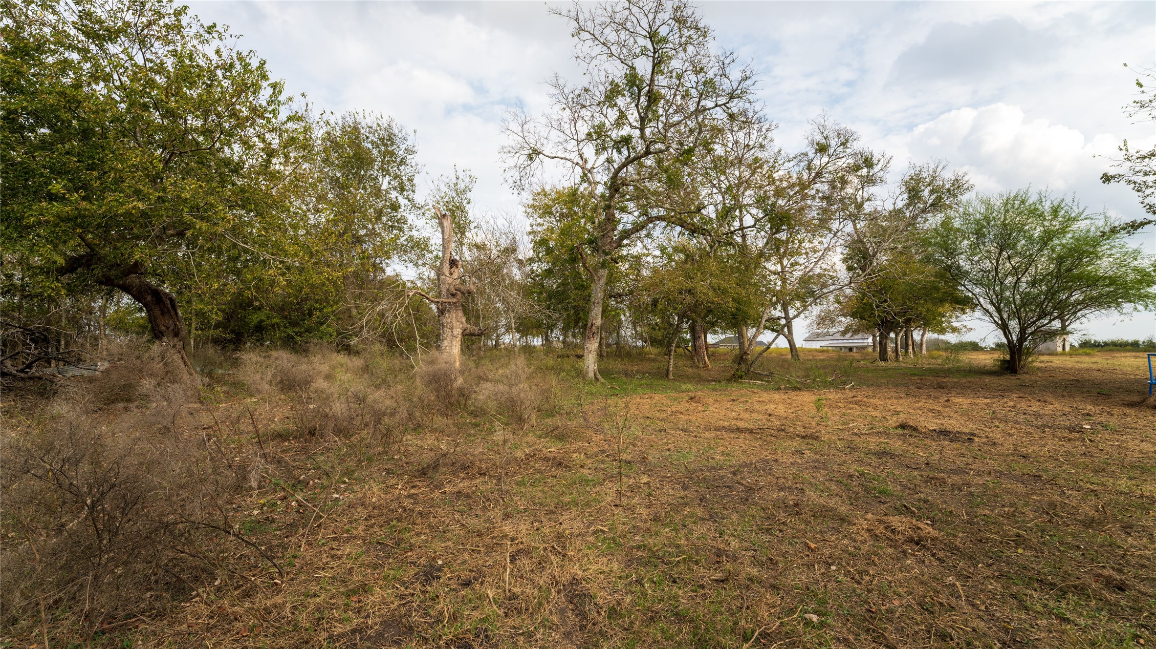 4646 FM 2679 Road Burton, TX 77835 - Photo 16 of 34 a view of yard with trees