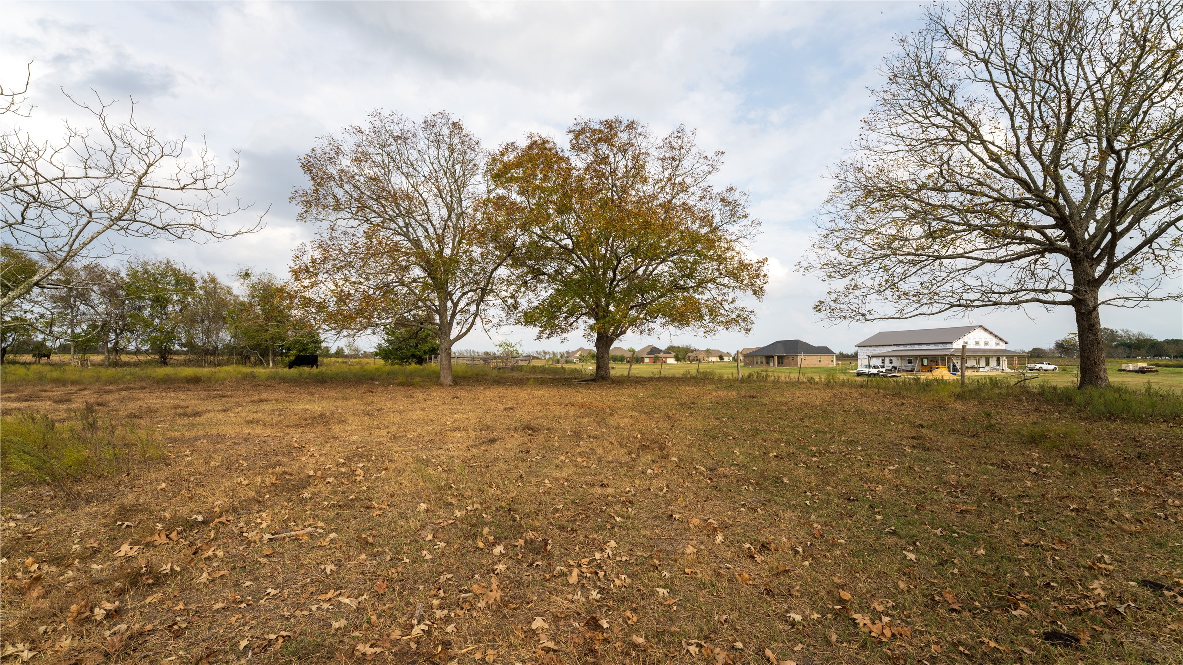 4646 FM 2679 Road Burton, TX 77835 - Photo 21 of 34 a view of large tree with green space