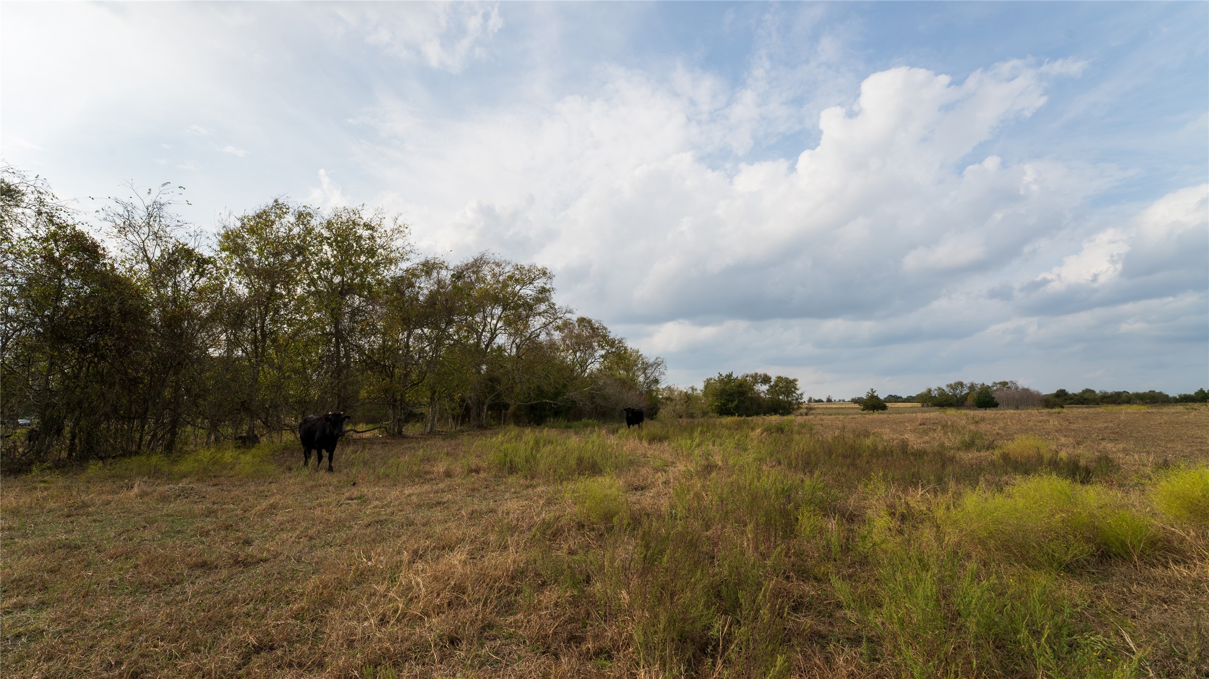4646 FM 2679 Road Burton, TX 77835 - Photo 26 of 34 a view of a lake with houses in the back
