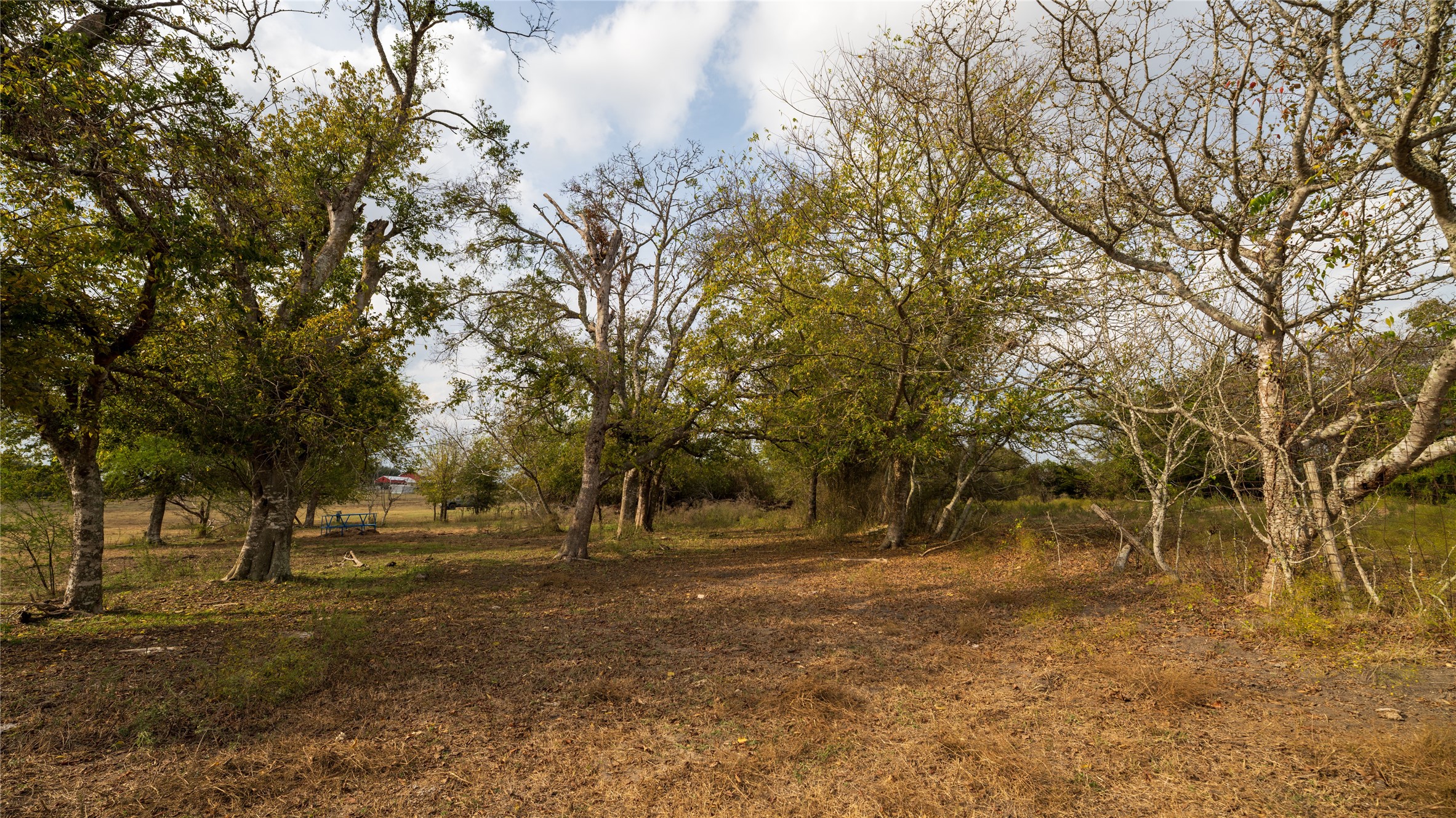 4646 FM 2679 Road Burton, TX 77835 - Photo 33 of 34 a view of outdoor space with trees