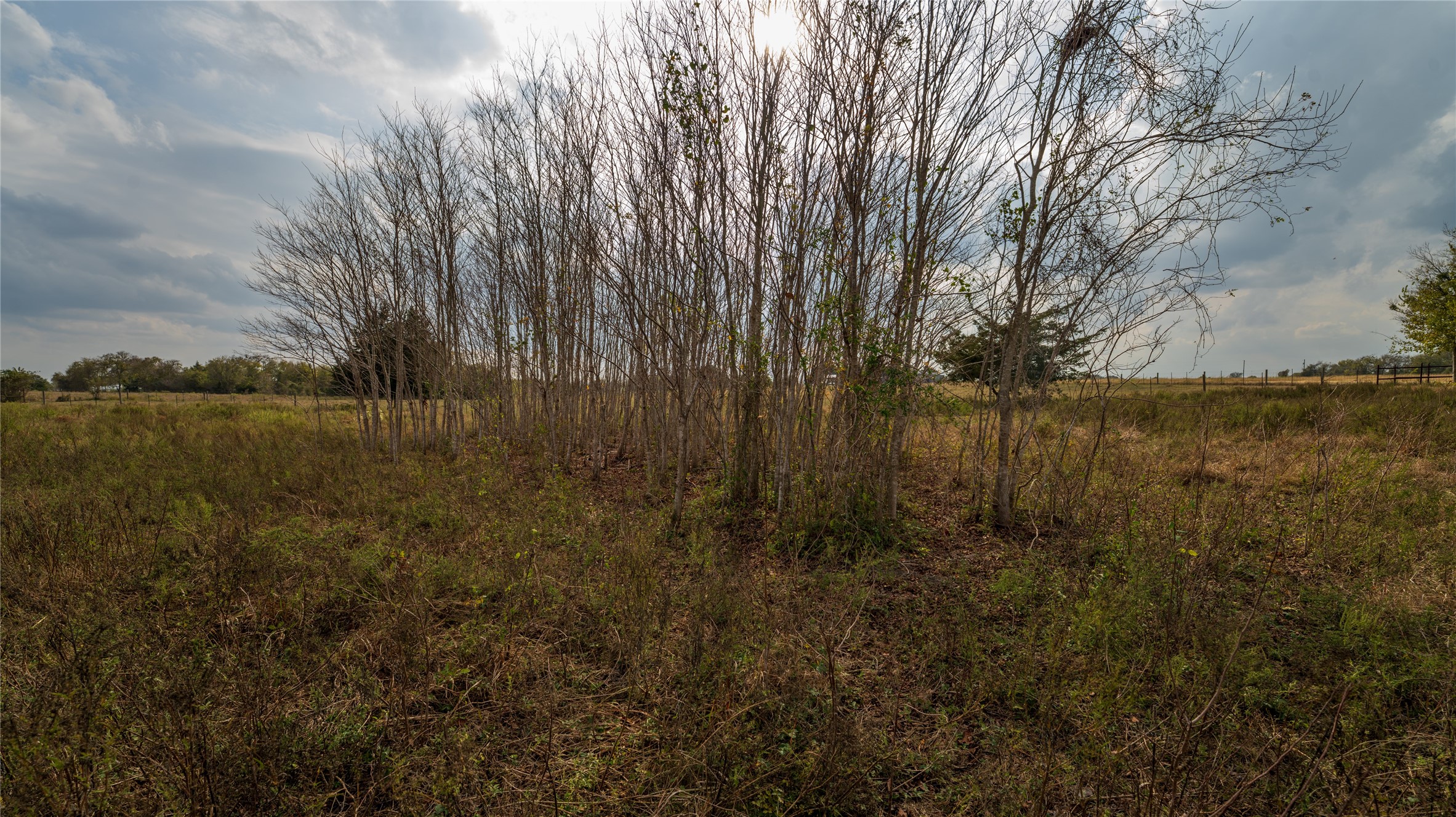 4646 FM 2679 Road Burton, TX 77835 - Photo 34 of 34 a view of lake with lots of trees