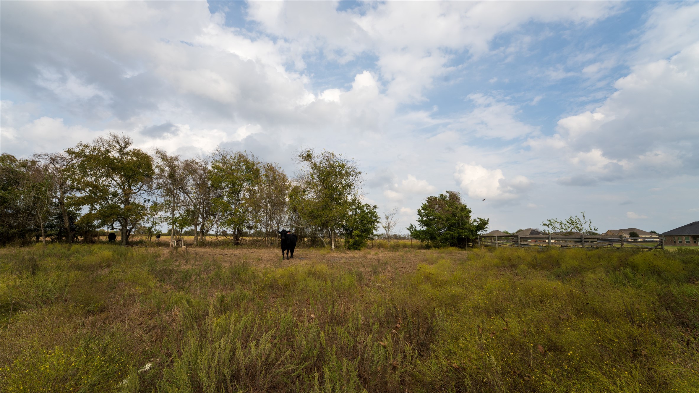 4646 FM 2679 Road Burton, TX 77835 - Photo 8 of 34 a view of an ocean