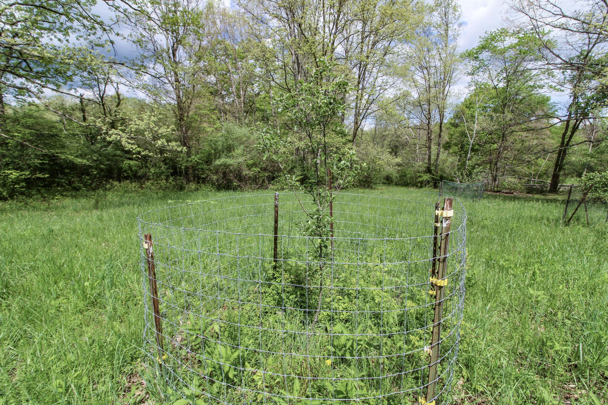 0 Dutch Ridge Road New Straitsville, OH 43766 - Photo 18 of 28 18B
