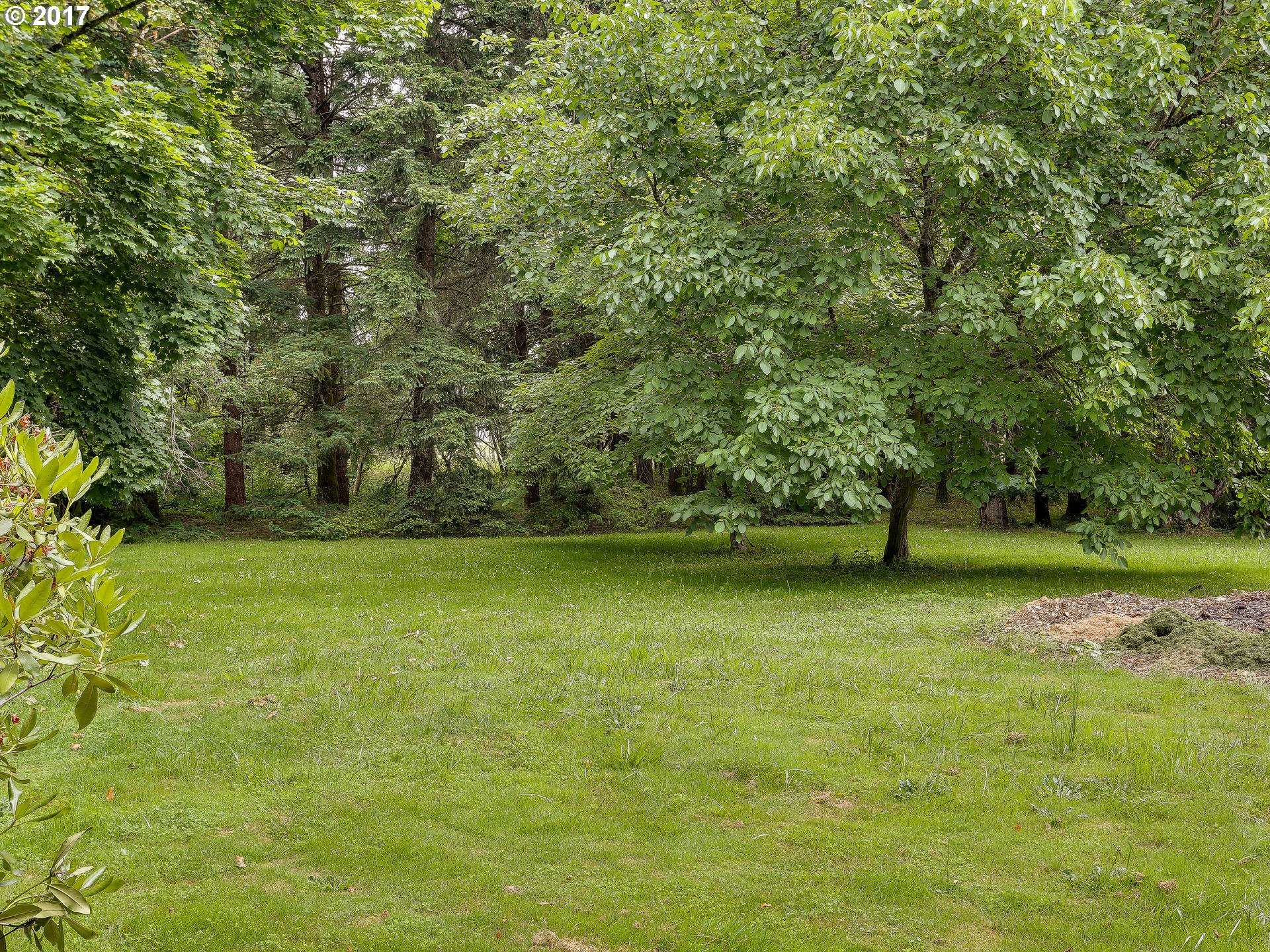 22374 Southeast Ridgeview Drive Damascus, OR 97089 - Photo 12 of 32 a view of a green yard