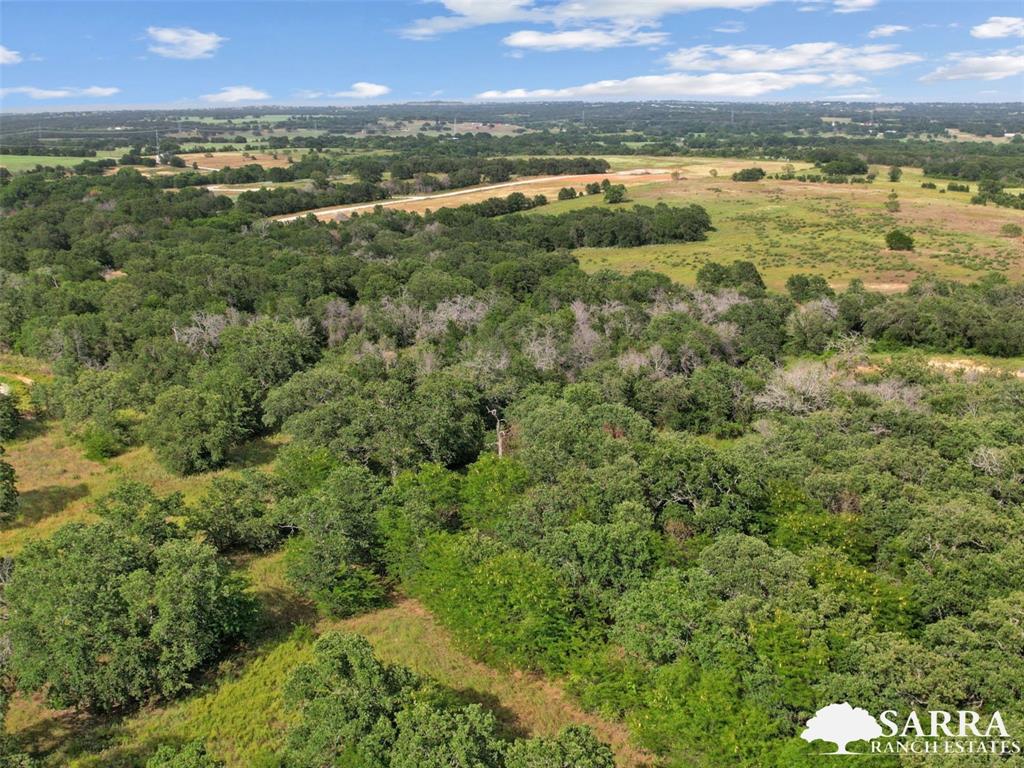 Lot 32 Galway Road Poolville, TX 76487 - Photo 7 of 18