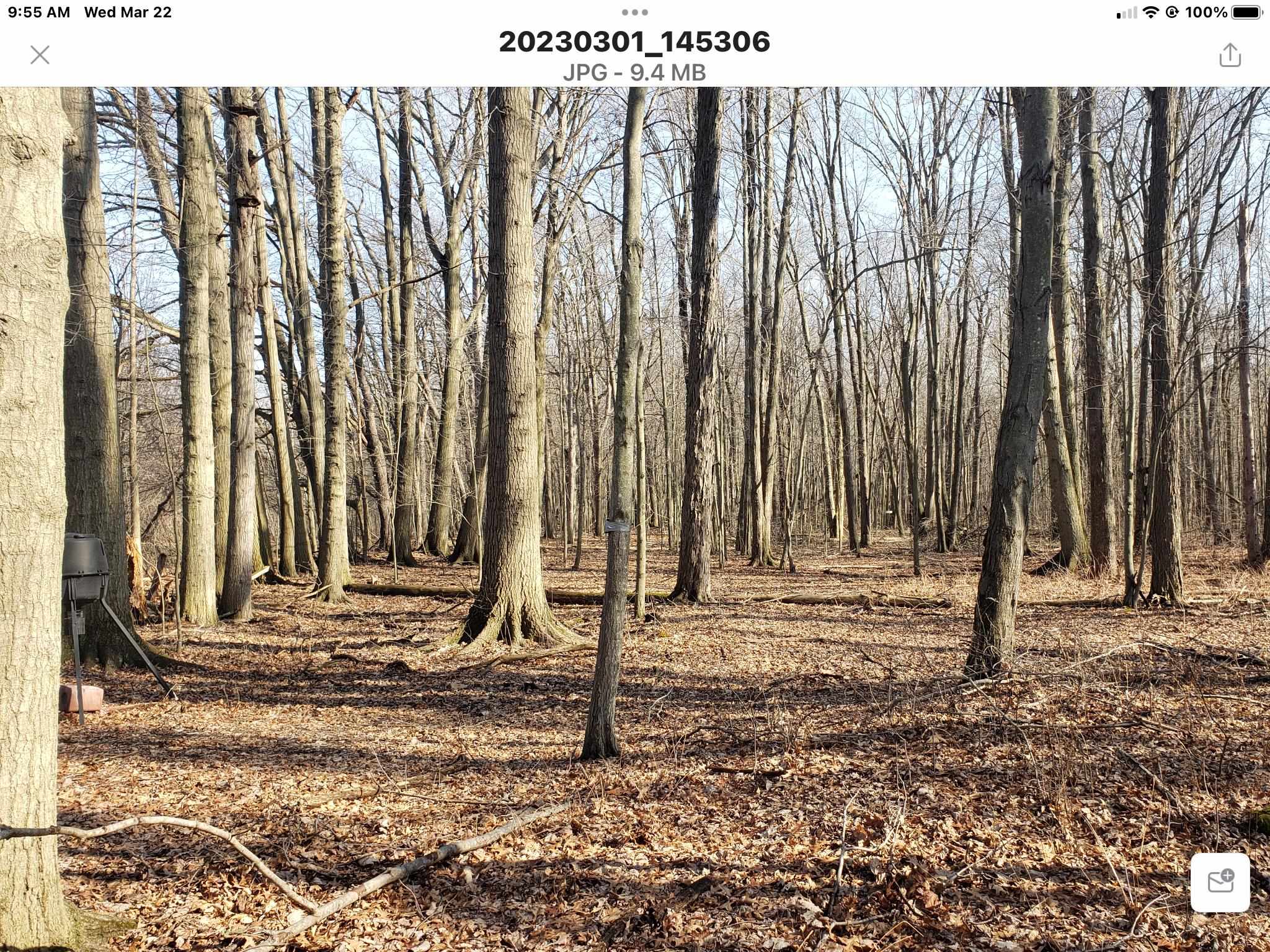 8009 Marsh Road Algonac, MI 48001 - Photo 29 of 37 50103637-28.JPG