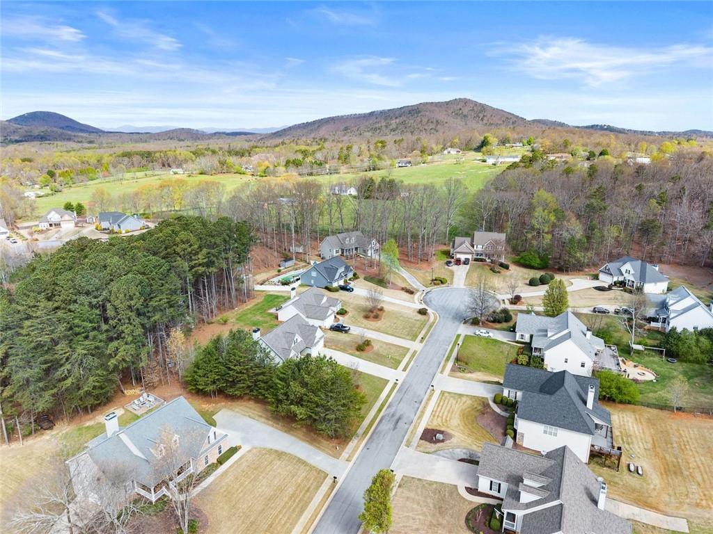 6611 Station Drive Clermont, GA 30527 - Photo 38 of 40